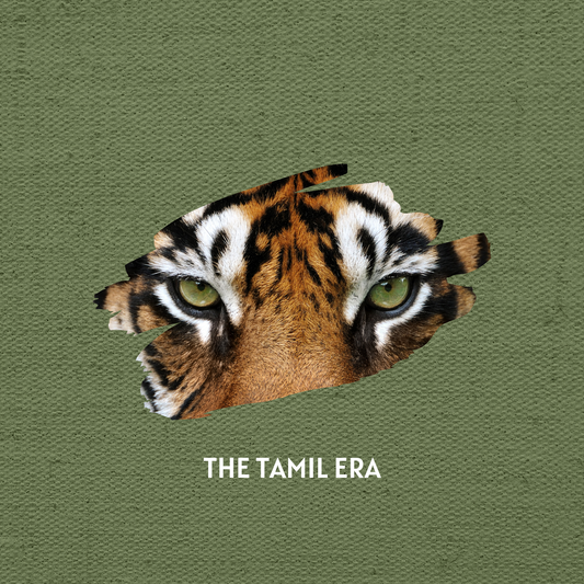 mens tiger eyes tshirt design from the tamil era 